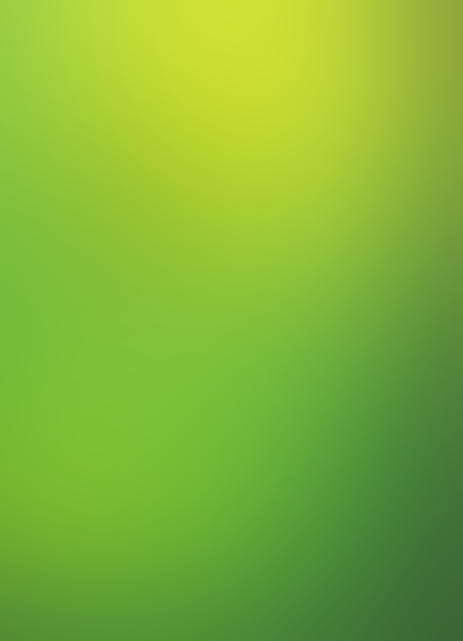 Super Mario FX